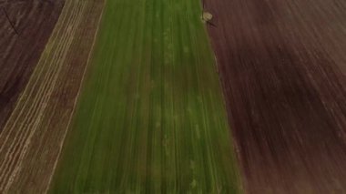 Doğa ve manzara: Bir tarlanın havadan görünüşü, tarım, yeşil çimen, kırsal alan, tarım