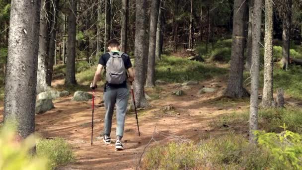 Blisko Ręce Aktywnych Mężczyzn Gospodarstwa Trekking Słupy Będzie Wiosnę Las — Wideo stockowe
