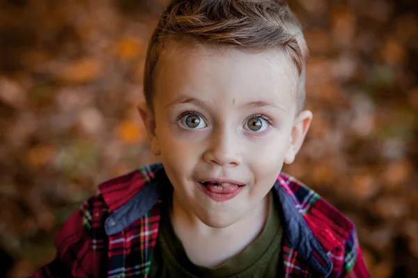 Retrato de belo menino sorridente no parque de outono. — Fotografia de Stock