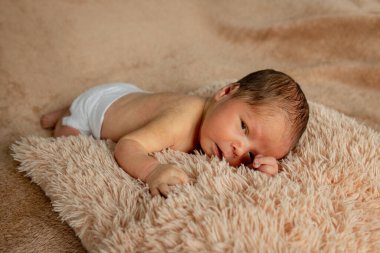 Yeni doğmuş bebek uyuyor, kendi elleriyle ve dirsekleriyle dinleniyor, kahverengi arka planda..