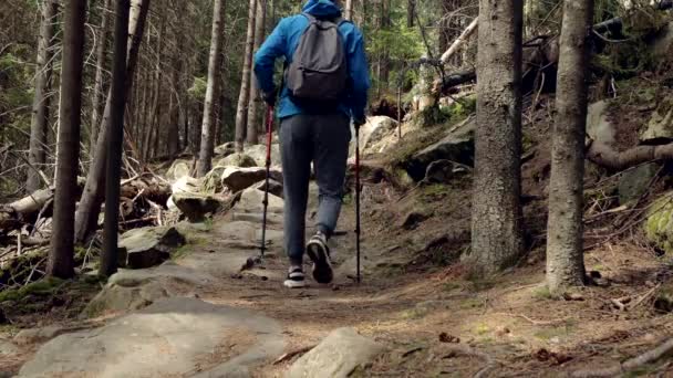 Wide Tracking Μεσήλικας Καυκάσιος Άνδρας Εξάσκηση Σκανδιναβικό Περπάτημα Ένα Γραφικό — Αρχείο Βίντεο