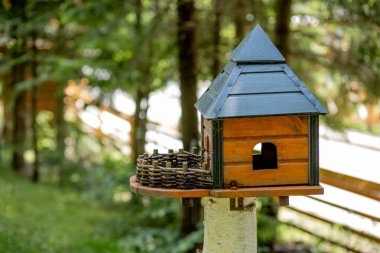 Tahta kuş besleyicisi çatısı olan bir ev şeklinde ormandaki bir tahta direğe bağlı doğadaki ağaçlar arasında..