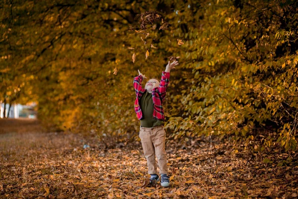 小さな男の子は秋に自然の中を歩く 黄色の葉の秋公園の未就学児 — ストック写真