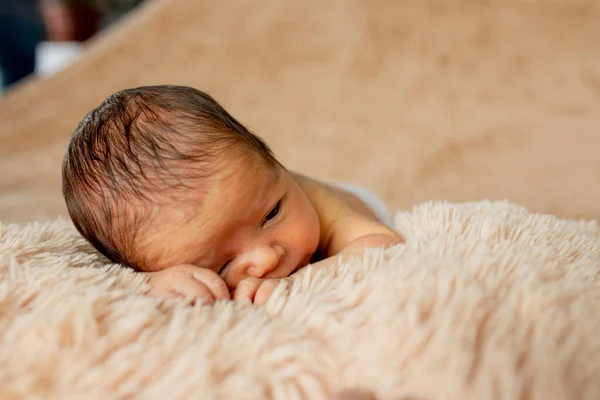 新生児の睡眠は 彼女自身の手と肘で 茶色の背景に眠っています — ストック写真