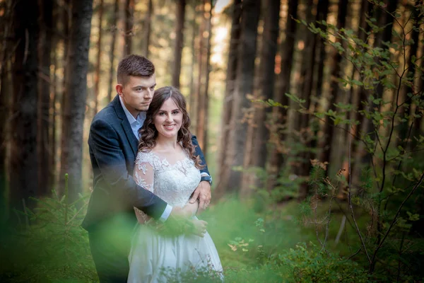 Braut Und Bräutigam Wald Auf Ihrer Hochzeit Fotosession — Stockfoto