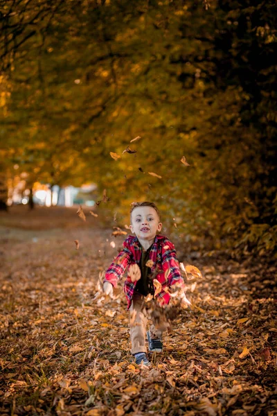 Kleiner Junge Spaziert Herbst Der Natur Ein Vorschulkind Herbstpark Gelben — Stockfoto