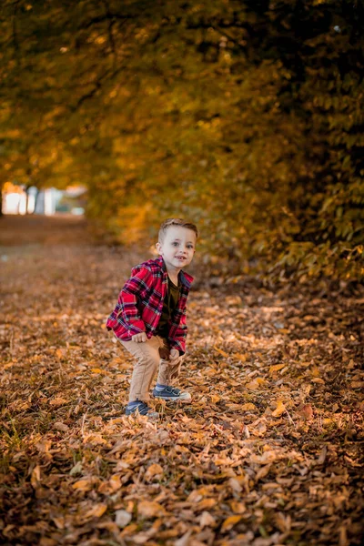 秋天的小男孩在大自然中漫步 秋天的公园里 小男孩在黄叶中漫步 — 图库照片