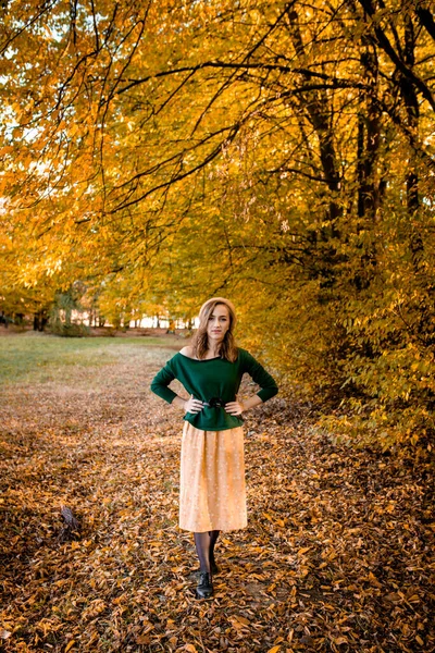 Piękna Dziewczyna Spaceruje Świeżym Powietrzu Jesienią Uśmiechnięta Dziewczyna Jesienią Zbiera — Zdjęcie stockowe