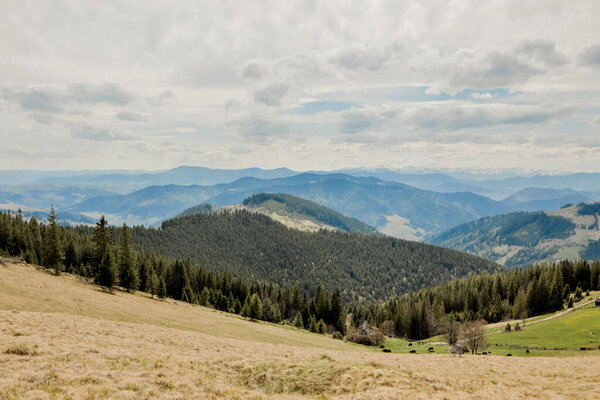 Carpathian Mountains top view landscape ridge summer season dramatic weather time with cloudy blue sky background.