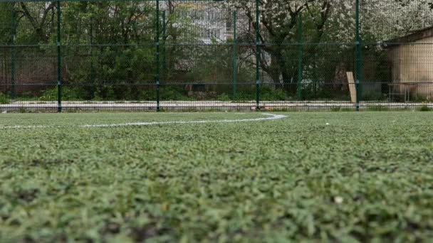 ウクライナ キエフ 2019年12月19日 芝生の上でランニングやシュートボールを取るサッカー選手の低セクションショット — ストック動画