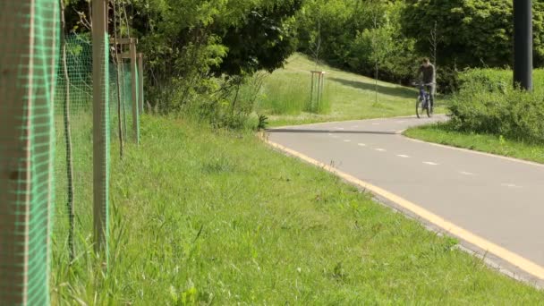 Şehir Yolunda Bisiklet Sürme Şehir Caddesinde Yol Işaretinin Yanında Bisiklet — Stok video