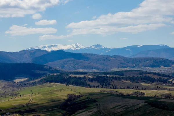 Bulutlu Bir Yaz Gününde Karpat Dağları Manzarası Dağ Zirveleri Ormanlar — Stok fotoğraf