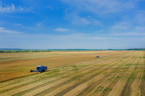 Cosecha Del Trigo Verano Dos Cosechadoras Trabajando Campo Combinar Cosechadora —  Fotos de Stock