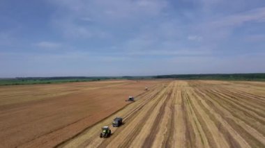 Yazın buğday hasadı. Tarlada çalışan iki hasat işçisi. Hasat makinesini tarlada yetişmiş altın buğday toplamak için birleştirin. Yukarıdan görüntüle