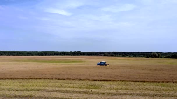 Weizenernte Sommer Zwei Erntehelfer Bei Der Feldarbeit Mähdrescher Landwirtschaftliche Maschine — Stockvideo