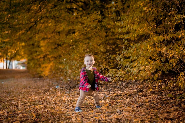 Маленький Мальчик Гуляет Природе Осенью Дошкольник Осеннем Парке Желтых Листьях — стоковое фото