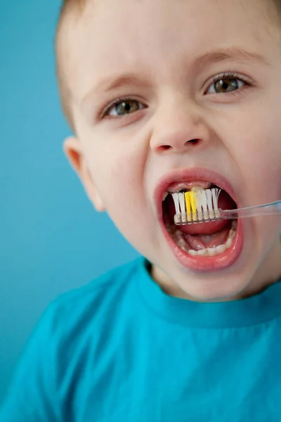 Little Cute Boy Brushing His Teeth Blue Background — Stock Photo, Image