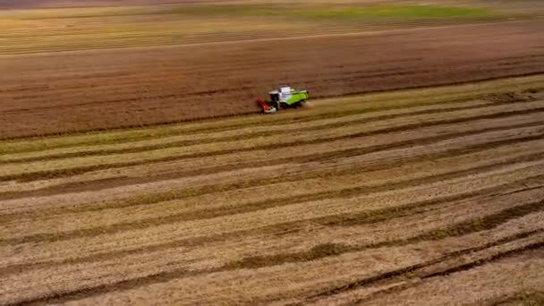 여름에는 수확한다 밭에서 일하고 들판에서 수확하는 기계를 결합시키라 위에서 바라본 — 비디오