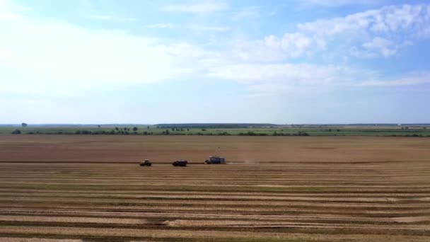 Récolte de blé en été. Deux pêcheurs qui travaillent sur le terrain. Combiner moissonneuse-batteuse agricole collecte de blé mûr doré sur le terrain. Vue d'en haut