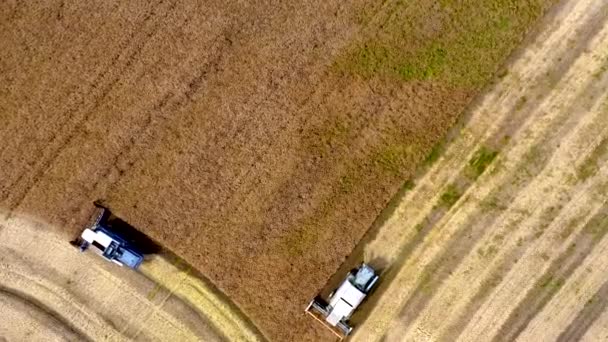 여름에는 수확한다 밭에서 일하고 들판에서 수확하는 기계를 결합시키라 위에서 바라본 — 비디오