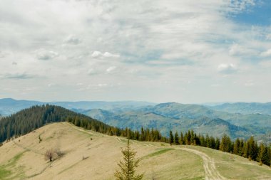 Karpat Dağları manzaralı tepe tepesi yaz mevsimi dramatik hava zamanı bulutlu mavi gökyüzü arkaplanı.