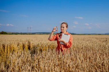 Beyaz Agronomist mısır gevreği tarlasını kontrol ediyor ve tabletteki buluta veri gönderiyor. Akıllı tarım ve dijital tarım kavramı. Başarılı organik gıda üretimi ve yetiştirilmesi