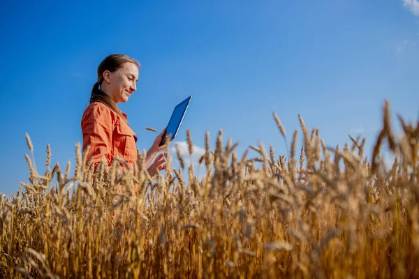 태블릿 컴퓨터를 가지고 인도의 전문가는 농작물 성장을 농업용으로 수확의 — 스톡 사진