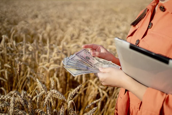 Mladý Farmář Drží Dolary Poli Zlaté Pšenice Zisk Zemědělství Během — Stock fotografie
