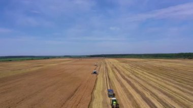 Yazın buğday hasadı. Tarlada çalışan iki hasat işçisi. Hasat makinesini tarlada yetişmiş altın buğday toplamak için birleştirin. Yukarıdan görüntüle