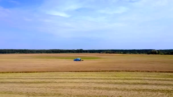 Weizenernte Sommer Zwei Erntehelfer Bei Der Feldarbeit Mähdrescher Landwirtschaftliche Maschine — Stockvideo