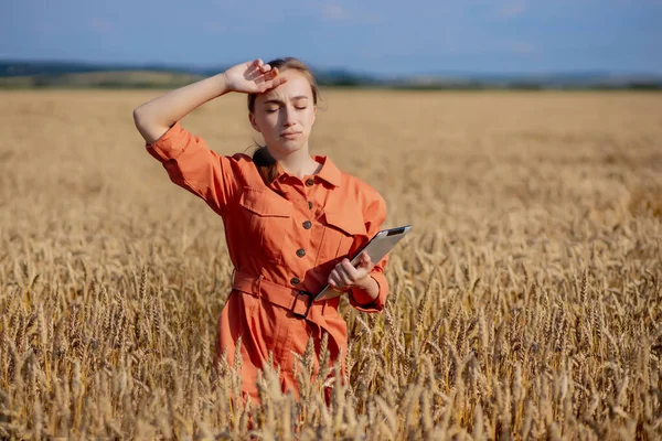 กเทคโนโลย วขาว Agronomist บแท บเล ตคอมพ วเตอร ในสาขาของการตรวจสอบค ณภาพข าวสาล — ภาพถ่ายสต็อก