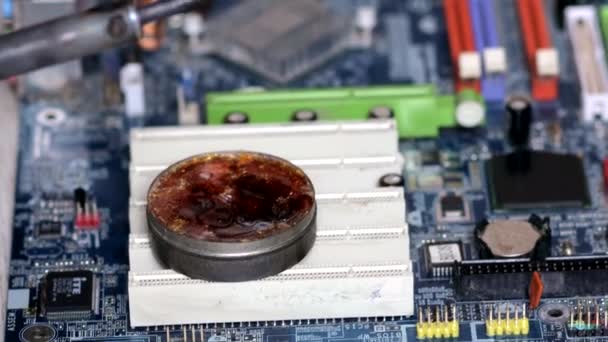 Płyta Główna Lutownicza Inżynier Lutował Chipset Pod Szkłem Powiększającym Inżynier — Wideo stockowe