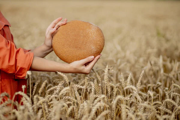 Руки Фермера Тримає Хліб Свіжоспечений Сирого Здорового Борошна Золотими Пшеничними — стокове фото