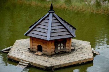 Sonbahar göletinde yüzen ördek evi.