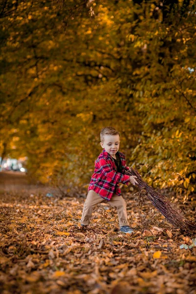 Bambino Cammina Nella Natura Autunno Bambino Età Prescolare Autunno Parco — Foto Stock