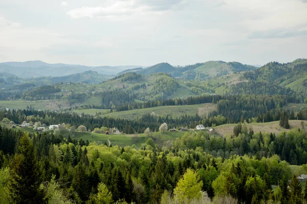 Carpates Vue Dessus Paysage Crête Été Saison Dramatique Temps Avec — Photo