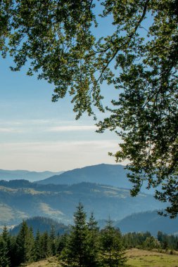Sabah güneşli bir gün dağ manzarasında. Carpathian, Ukrayna, Avrupa. Güzellik dünyası. Büyük çözünürlük.