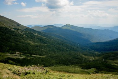 Karpatlar 'ın yaz sabahı dağlık arazisi. Vahşi bakire Ukrayna doğasının güzelliği. Huzur.
