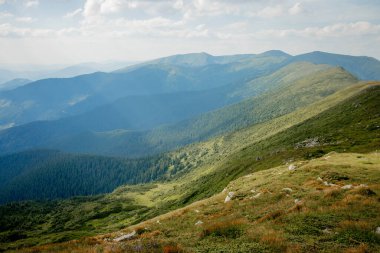 Karpatlar 'ın yaz sabahı dağlık arazisi. Vahşi bakire Ukrayna doğasının güzelliği. Huzur.