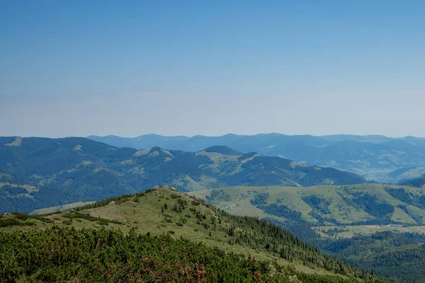 Sabah Güneşli Bir Gün Dağ Manzarasında Carpathian Ukrayna Avrupa Güzellik — Stok fotoğraf