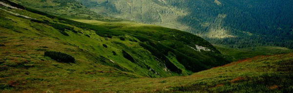 Πανόραμα Καρπάθιων Οροσειράς Πρωί Του Καλοκαιριού Ομορφιά Της Άγριας Παρθένου — Φωτογραφία Αρχείου