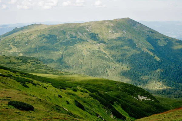 Karpatské Pohoří Létě Ráno Krása Divoké Panenské Ukrajinské Přírody Mír — Stock fotografie