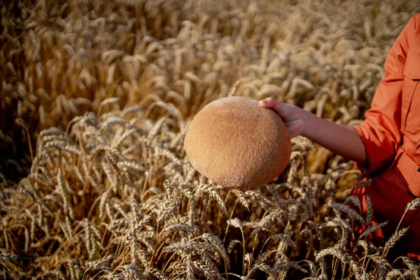 Händer Bonde Som Håller Kli Bröd Nybakat Hälsosamt Mjöl Med — Stockfoto