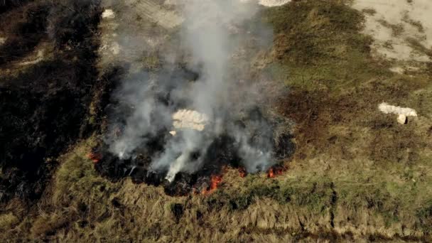 Luftföroreningar Orsakade Skogsbränder Rökmoln Ovanför Det Brinnande Fältet Flygbilder Episk — Stockvideo