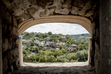 Ağaç kesiyorum. Çam ormanından tahta kütükler. Çam ve ladin ormanı. Ağaç kesme, odun kesme, orman endüstrisi. Orman koruma kavramı.