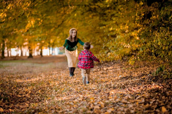 公園の暖かい秋の日に彼女の小さな赤ちゃんの息子と遊んで楽しんで幸せな若い母親 幸せな家庭のコンセプト — ストック写真