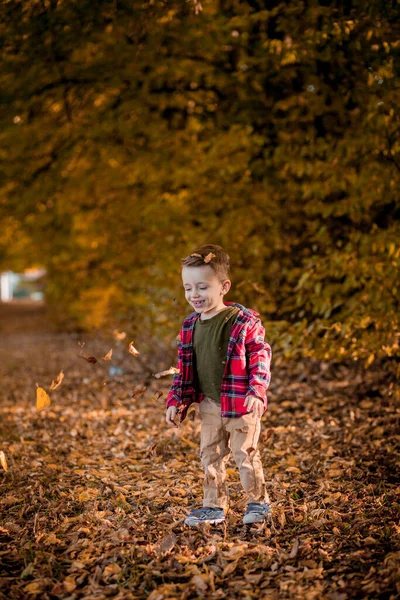 Porträt Des Schönen Lächelnden Kleinen Jungen Herbstpark — Stockfoto