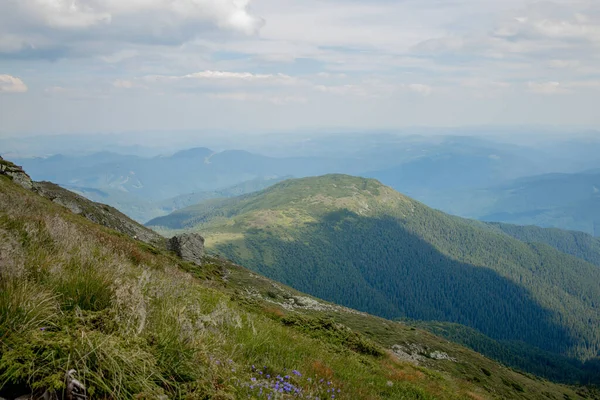 Karpatlar 'ın yaz sabahı dağlık arazisi. Vahşi bakire Ukrayna doğasının güzelliği. Huzur.