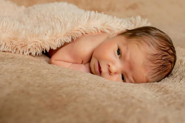 新生児の睡眠は 彼女自身の手と肘で 茶色の背景に眠っています — ストック写真