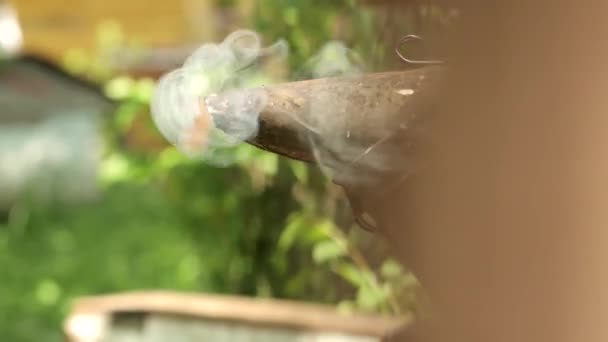 Beekeeper Smoker Smokes White Smoke Beekeeping Tool Close Beekeeping Apiary — Stock Video